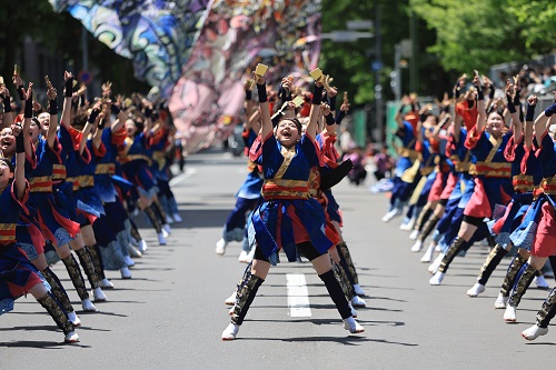 YOSAKOIソーラン祭りの写真