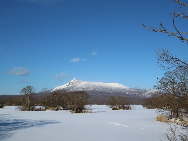 雪の駒ヶ岳(冬)の写真