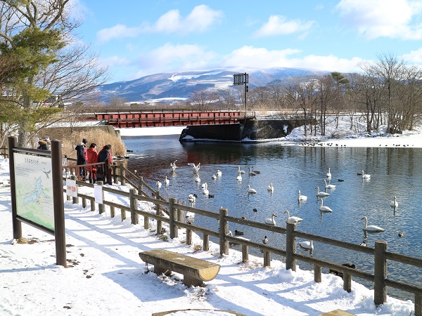 白鳥台セバット(冬)の写真