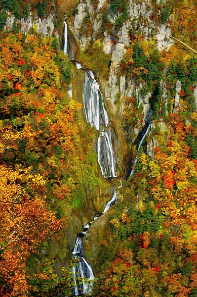 羽衣の滝（紅葉）の写真