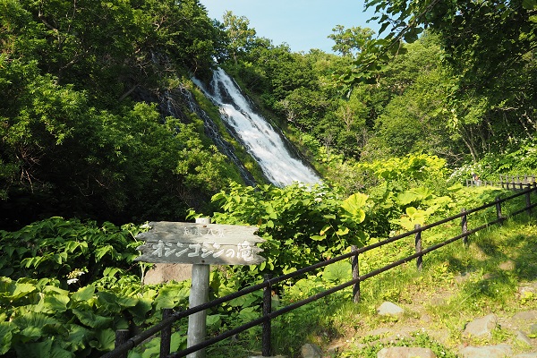 オシンコシンの滝の写真