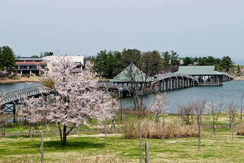 鶴の舞橋の写真
