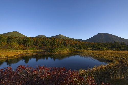 八甲田山の湿地・湿原の写真