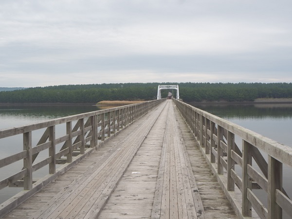 中の島遊歩道橋の写真