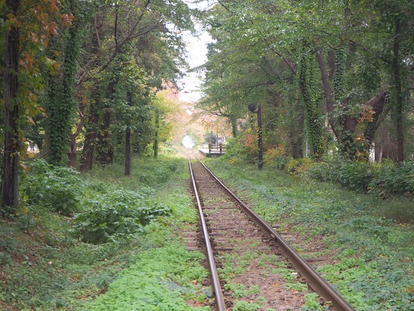 公園内津軽鉄道線の写真