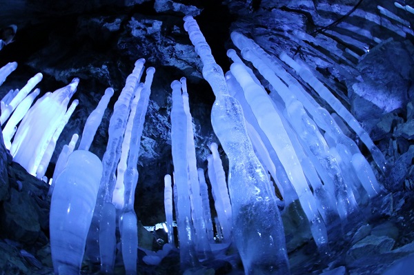 内間木洞の氷筍の写真