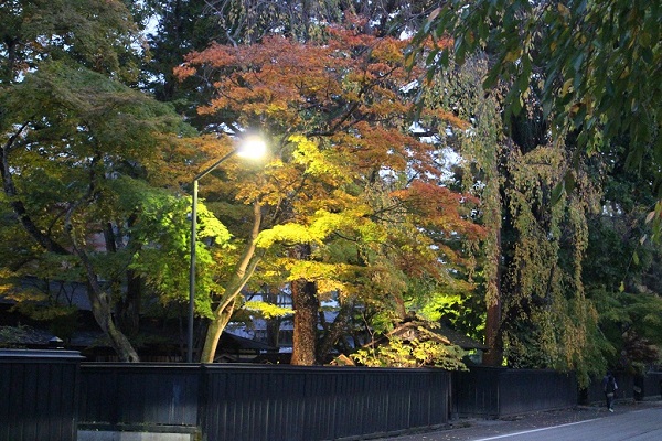 紅葉の角館夕景の写真