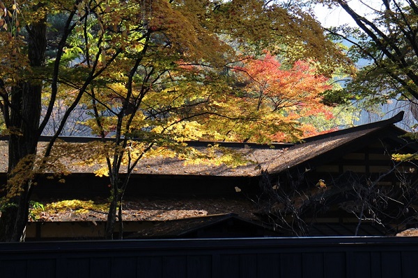 紅葉の角館の写真