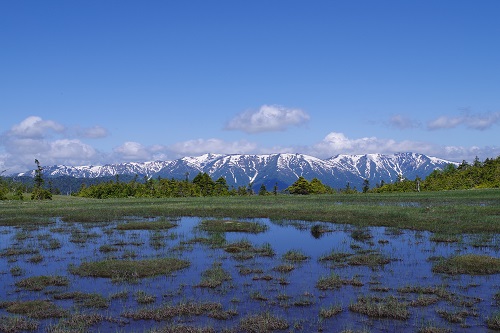 田代湿原3の写真