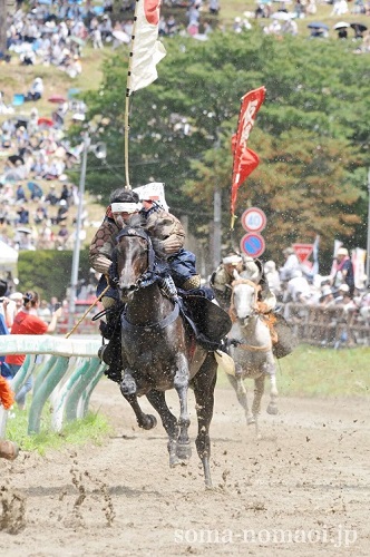 甲冑競馬の写真
