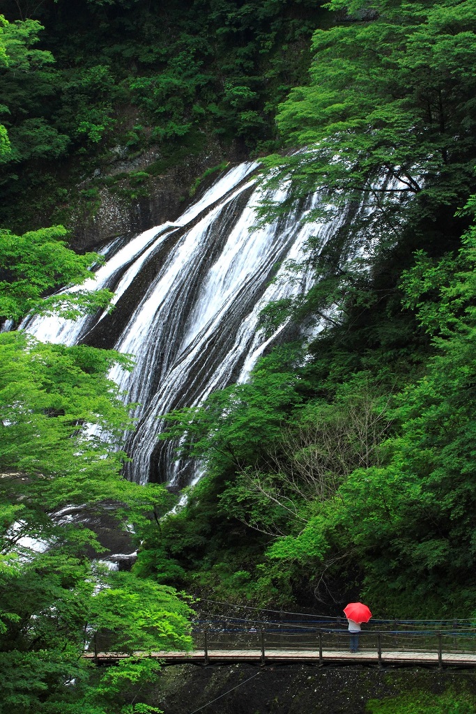 袋田の滝（春）の写真