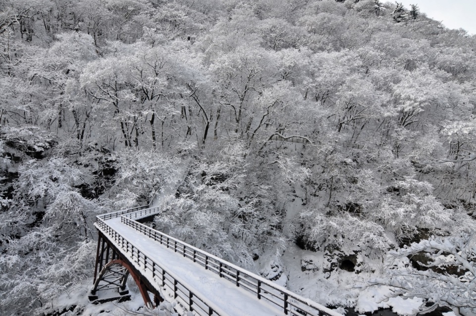 雪の虹見橋の写真