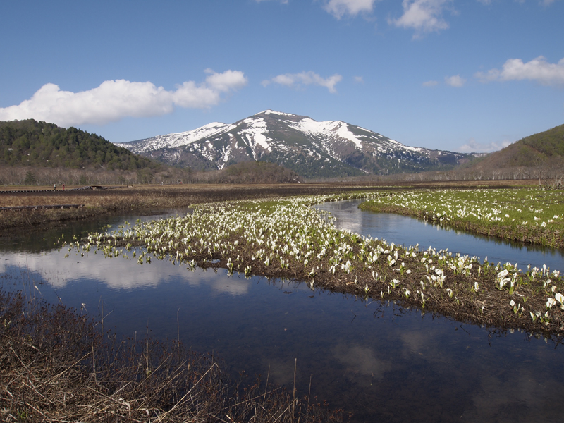 　https://gunma-kanko.jp/の写真