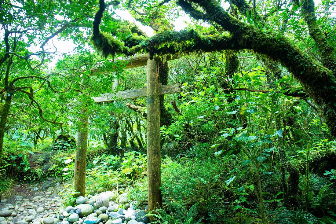 八丈富士（浅間神社）の写真