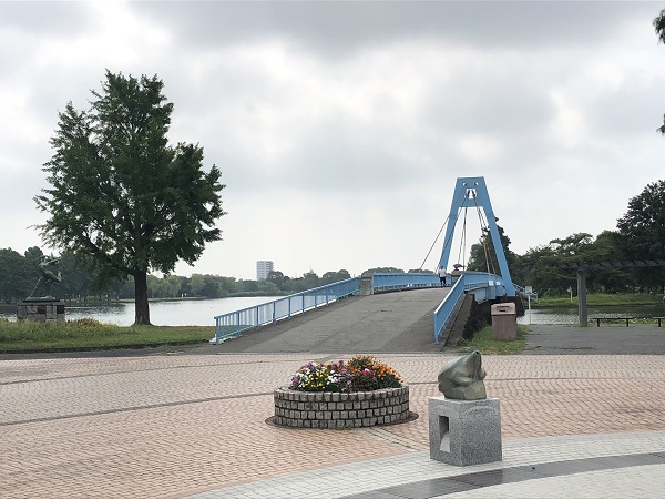 水元公園の写真