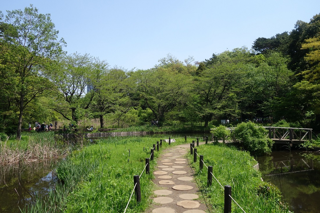 国立科学博物館附属自然教育園の写真