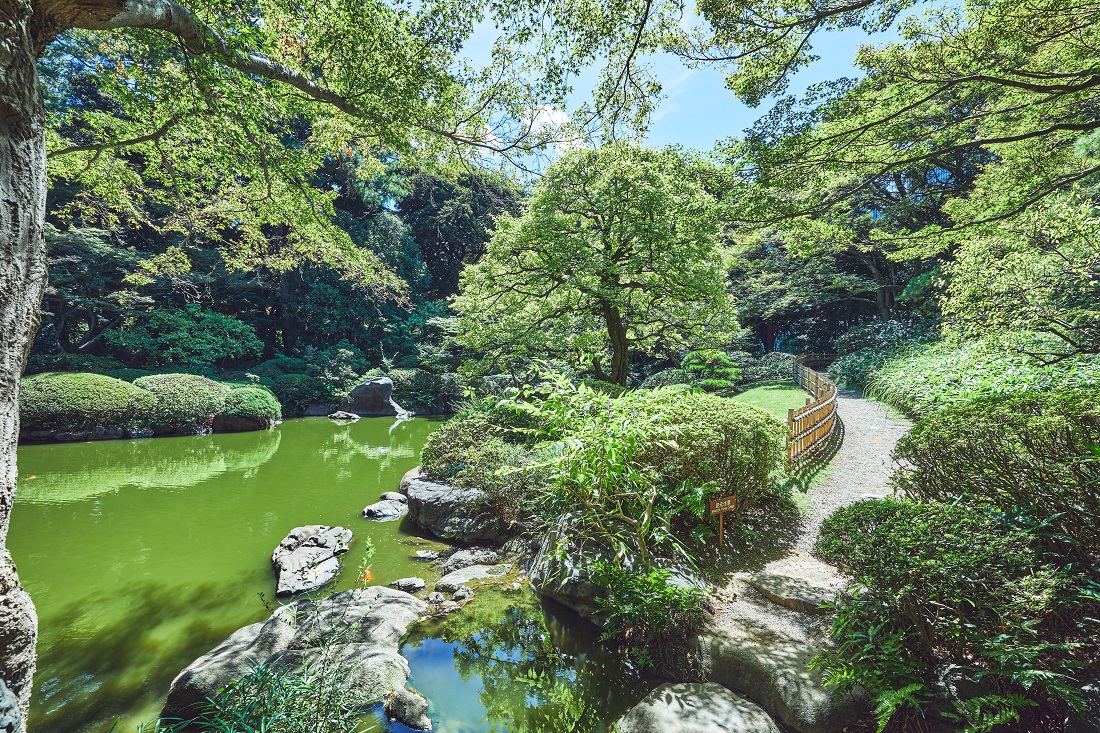 日本庭園の写真