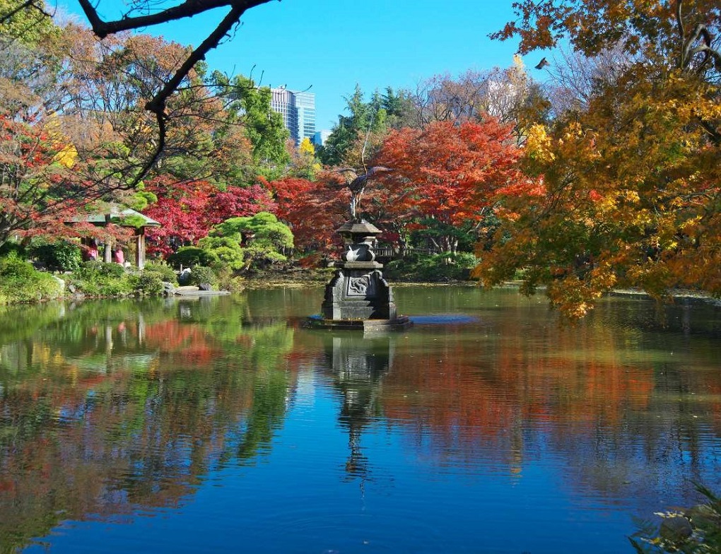 雲形池の写真