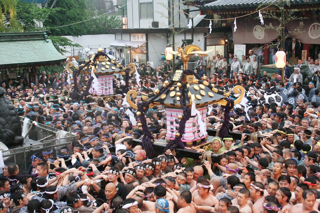 三社祭の写真