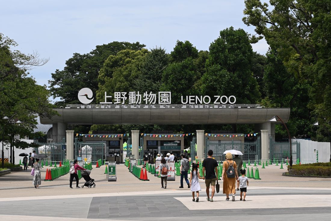 上野動物園の写真