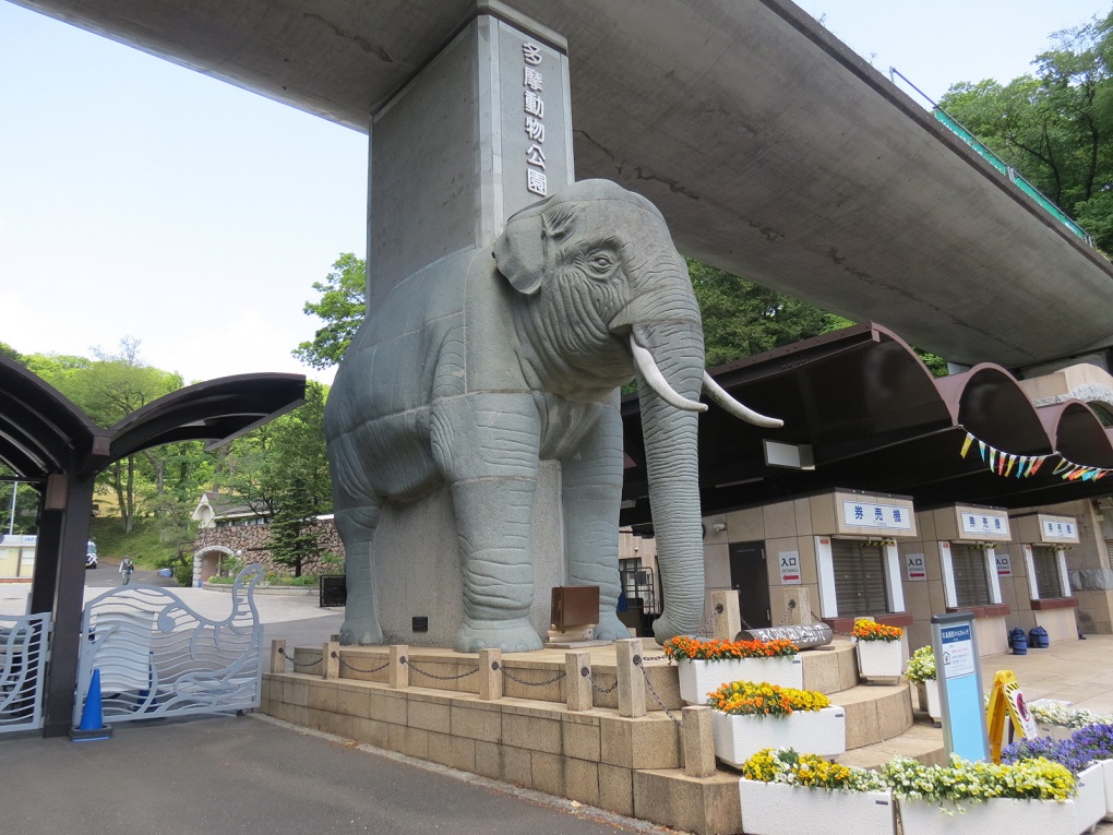 多摩動物公園の写真