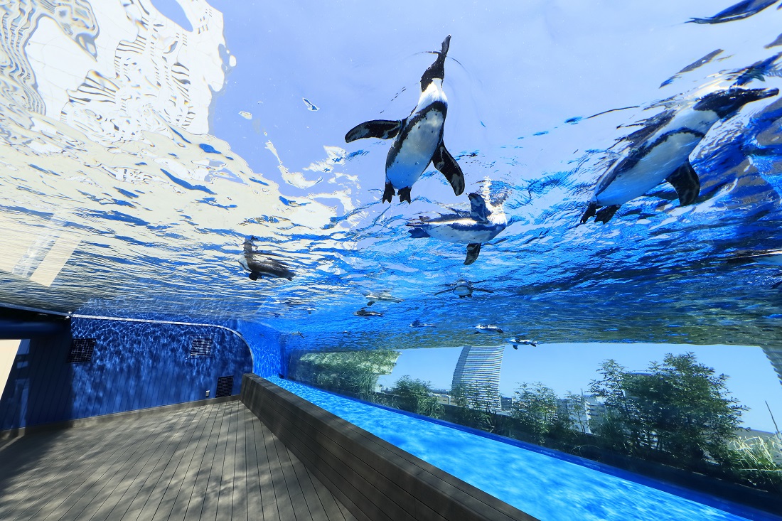 サンシャイン水族館の写真