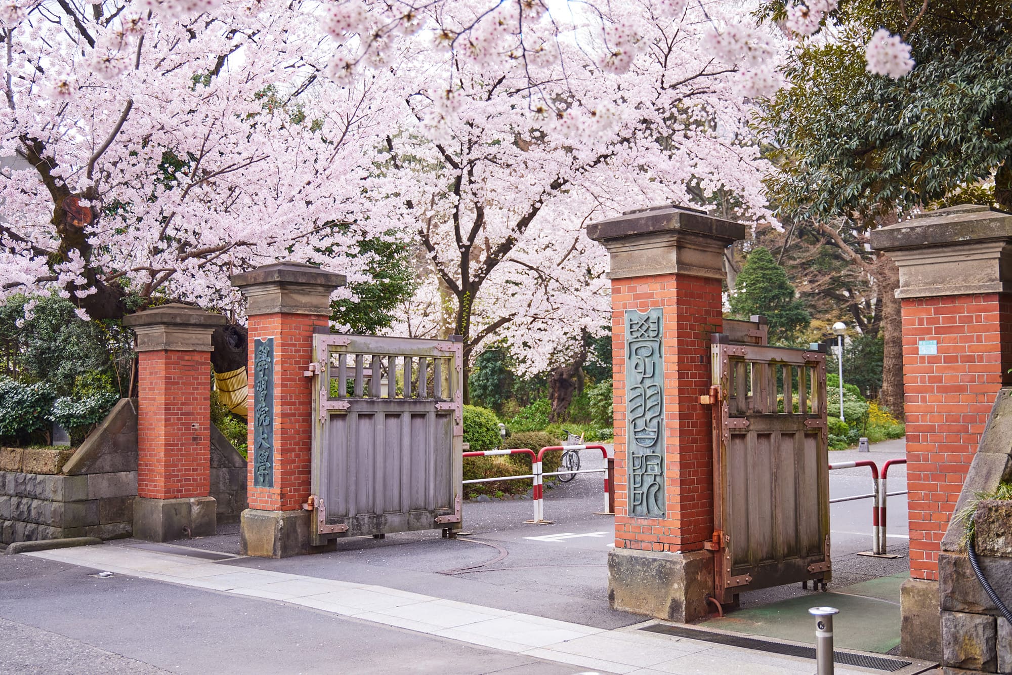 学習院大学の写真