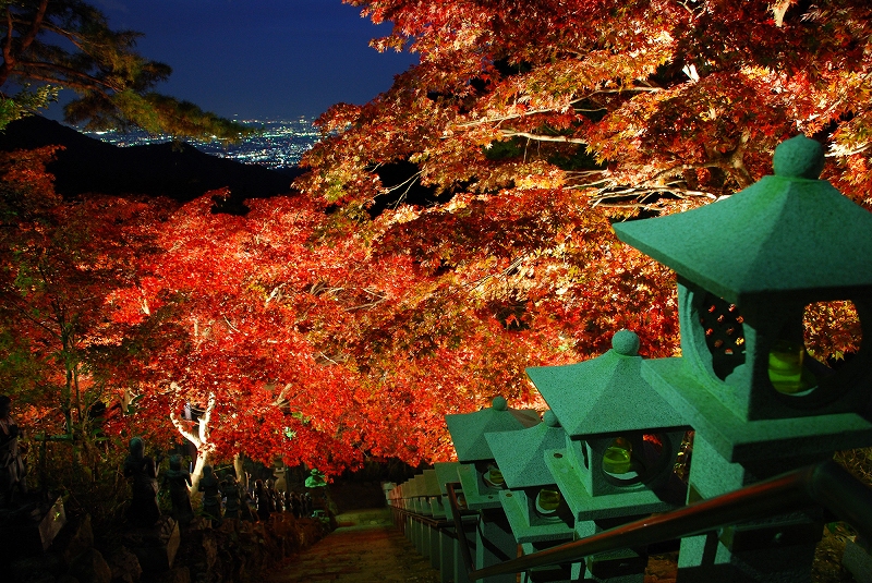 大山寺の紅葉と夜景の写真