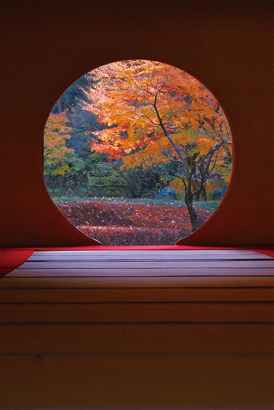 丸窓から望む紅葉の写真
