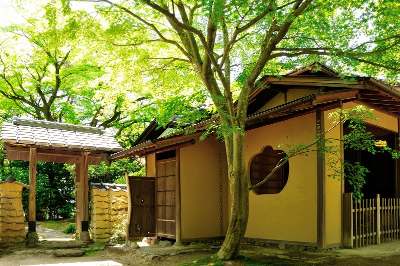 老欅荘（ろうきょそう）の写真