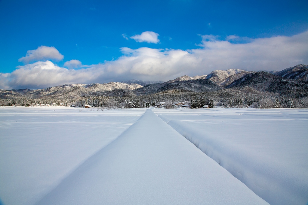 五頭山の雪景色の写真