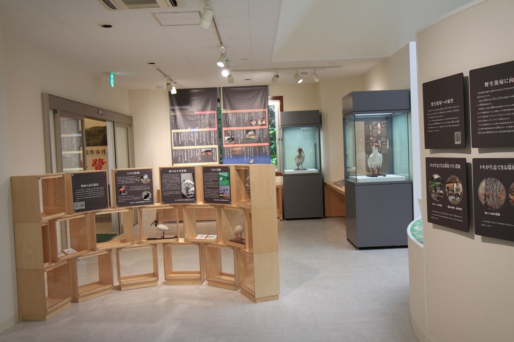 トキ資料展示館の写真