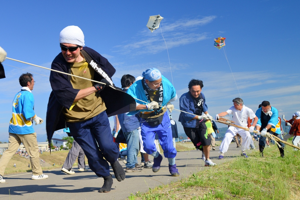 凧を引つ張りあう様子　刈谷田川の両岸から凧糸が切れるまで引き合う姿は迫力があるの写真