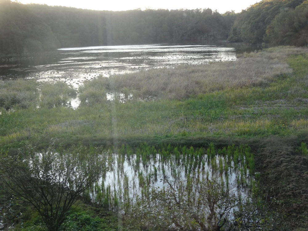 片野鴨池の坂網猟の写真