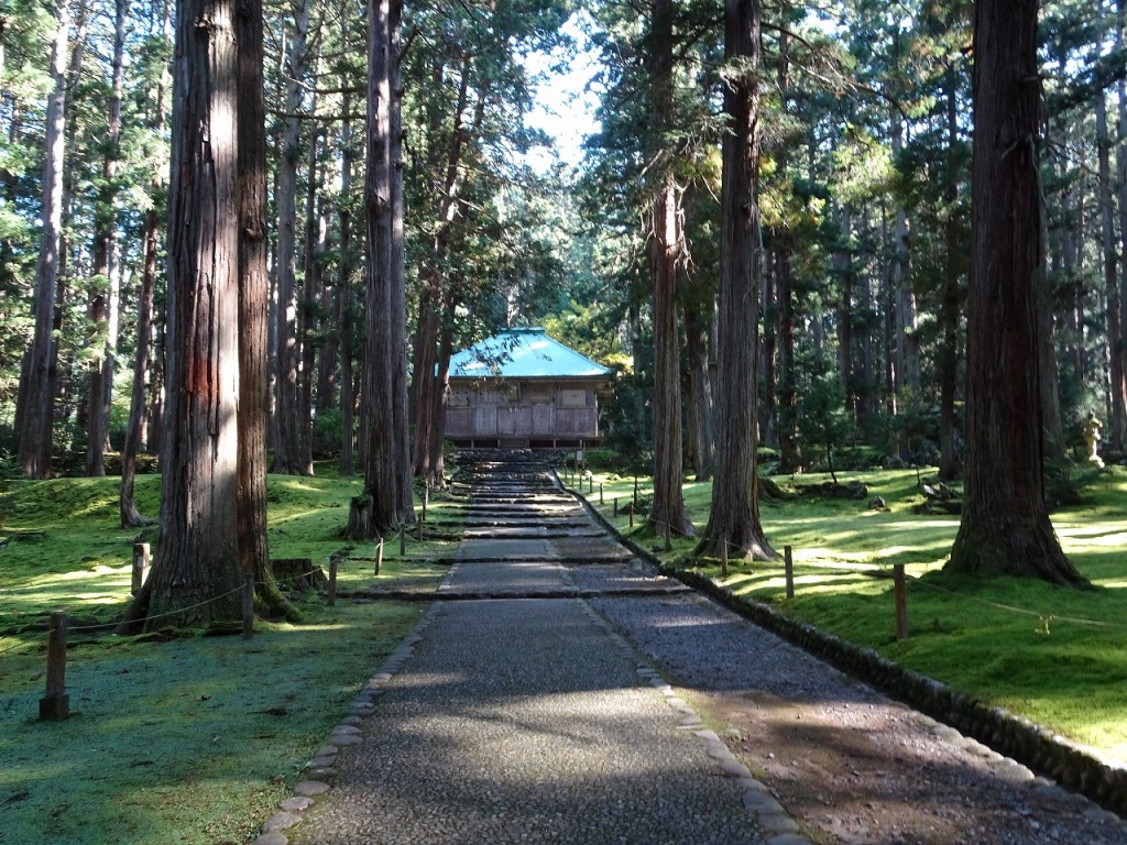 平泉寺白山神社（白山平泉寺）の写真