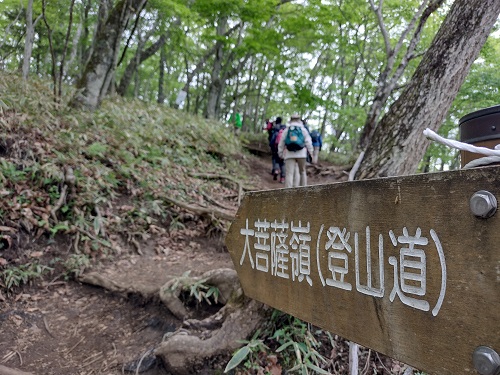 旧道分岐の写真