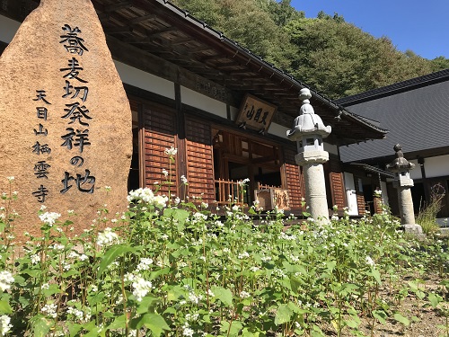 そば畑と「蕎麦切発祥の地」の石碑の写真