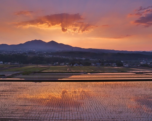 夕景の茅ヶ岳の写真