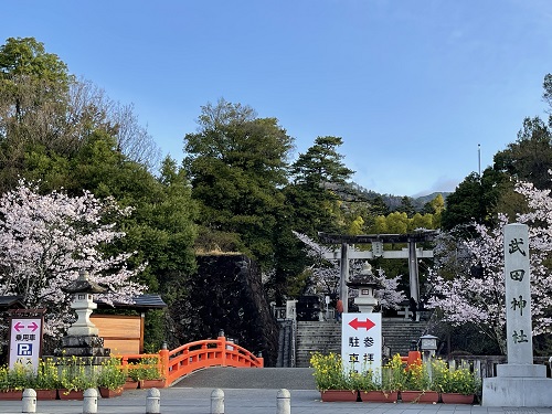 桜の季節の武田神社の写真