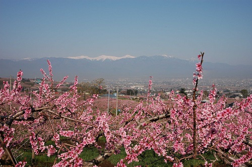 花鳥山一本杉公園からの風景の写真