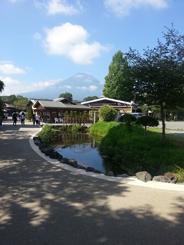 夏の鏡池の写真