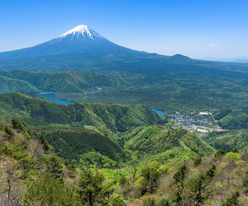 富士山と西湖の写真