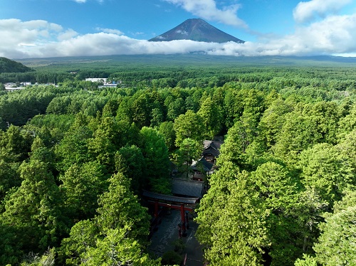 富士山と神社の写真