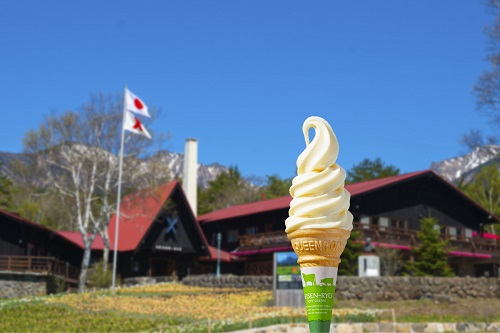清泉寮ソフトクリームの写真