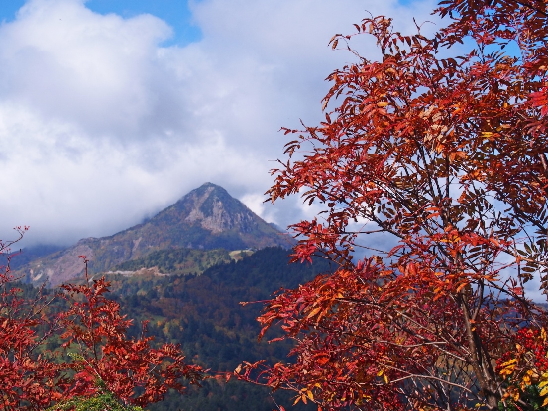 笠岳の写真