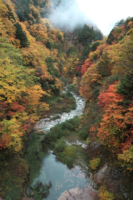 高瀬渓谷(秋)の写真