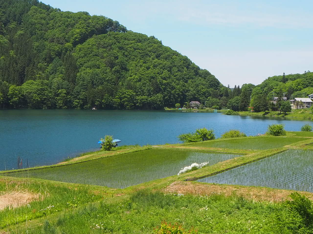 中綱湖の写真