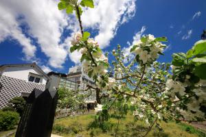 飯田りんご並木の写真