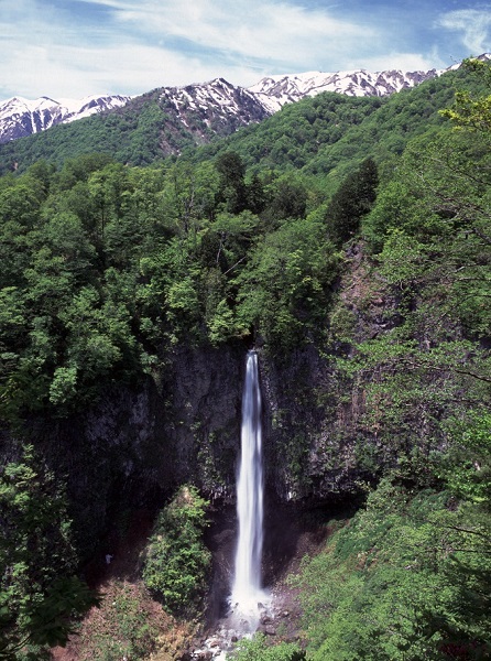 白水滝の写真