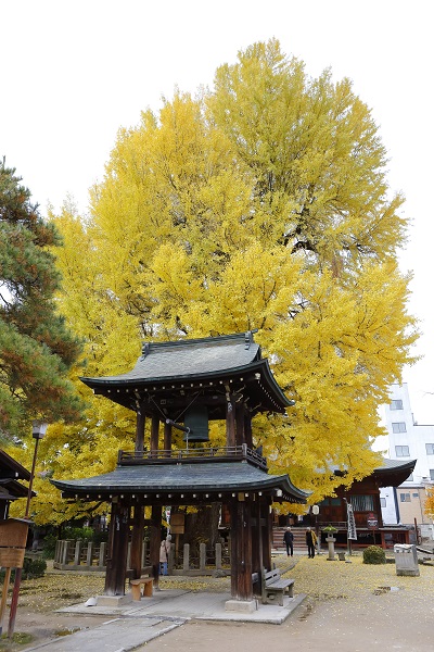 飛騨国分寺（秋）の写真